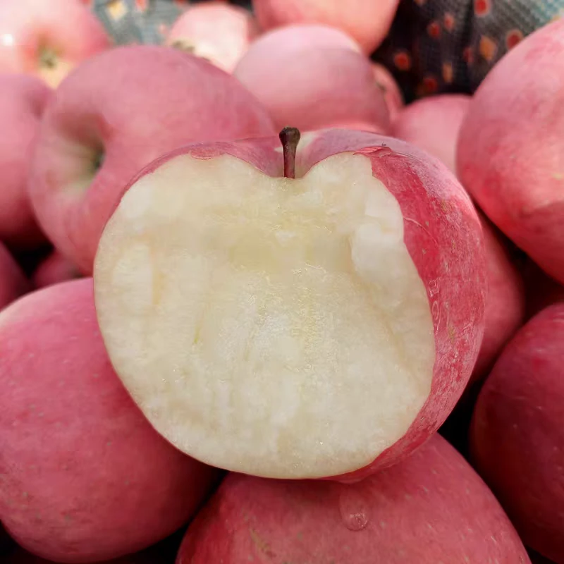 北纬35°苹果谷2025甘肃现摘红富士新鲜脆富士酸甜