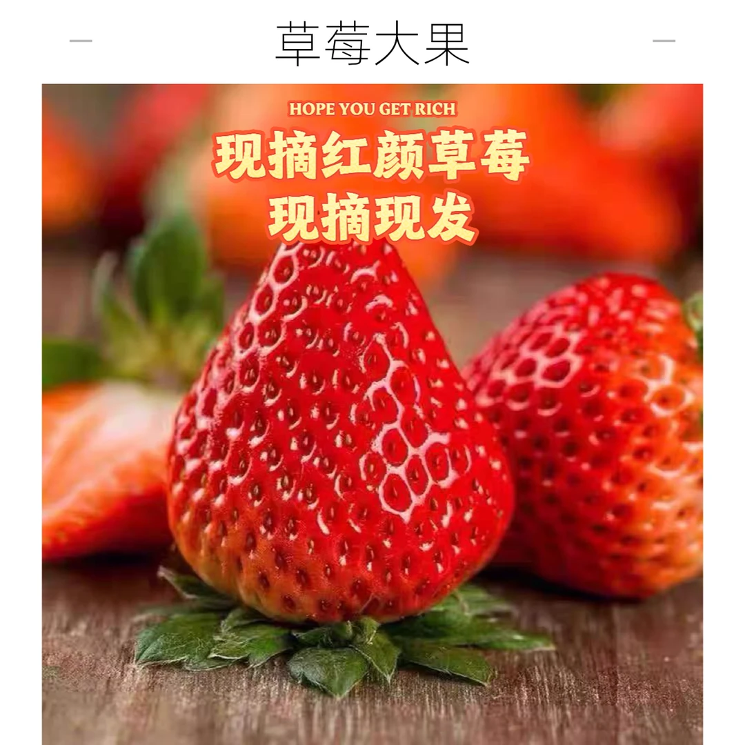 【顺丰快运】现摘红颜草莓果王3斤装【送礼佳品】红颜草莓江苏省