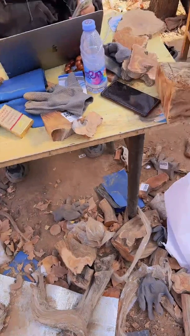 【闪购商品】柏木（崖柏）1补 太行陈化崖柏一片