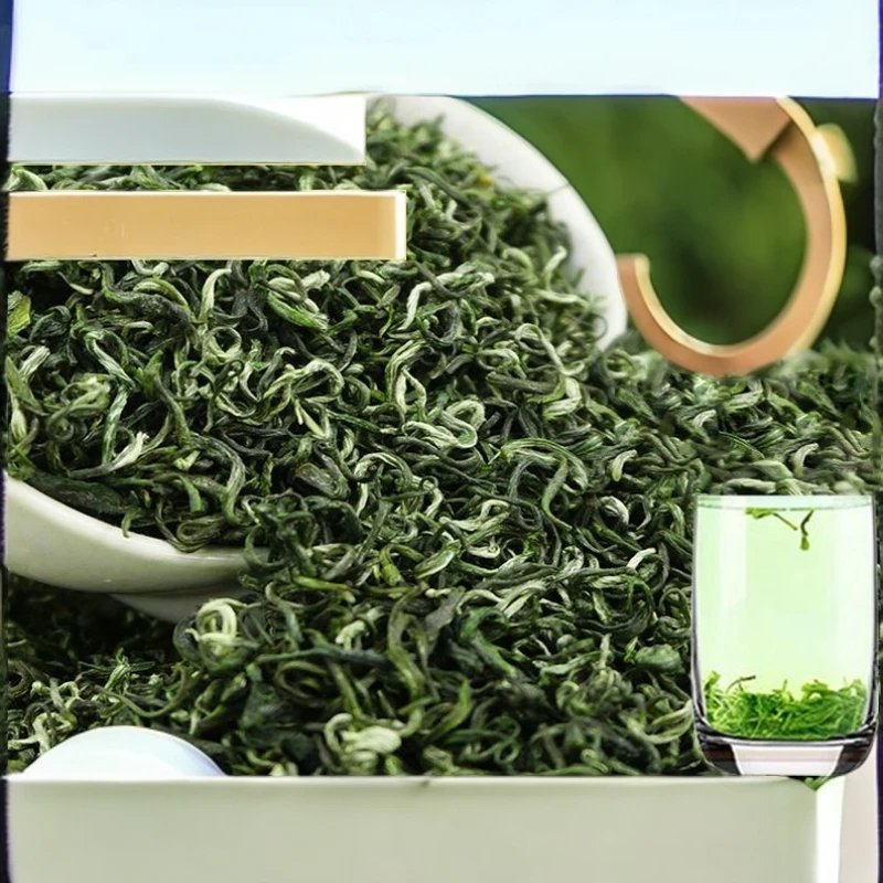 新茶上市浓香型绿毛尖茶春高山云雾毛峰炒青茶叶