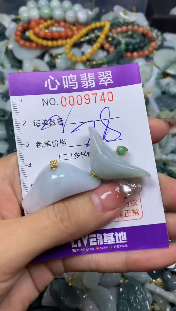 【闪购商品】翡翠颈饰未镶嵌闪购009740