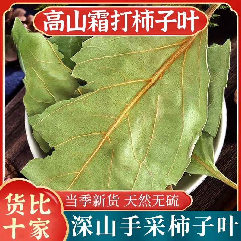 柿子叶干柿子叶新鲜干货柿子叶粉柿子叶茶柿叶霜后柿子树叶