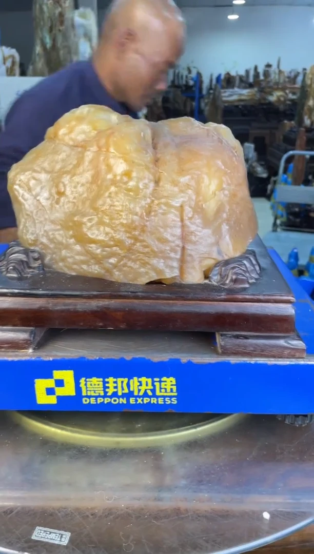 未镶嵌摆件硅化玉47