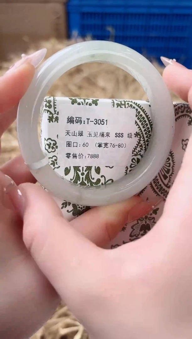 未镶嵌手镯石英质玉T-3051