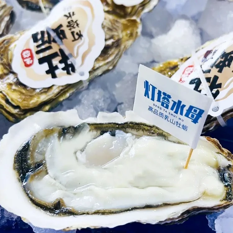 灯塔水母生蚝5两（0.5斤）生蚝7元一只