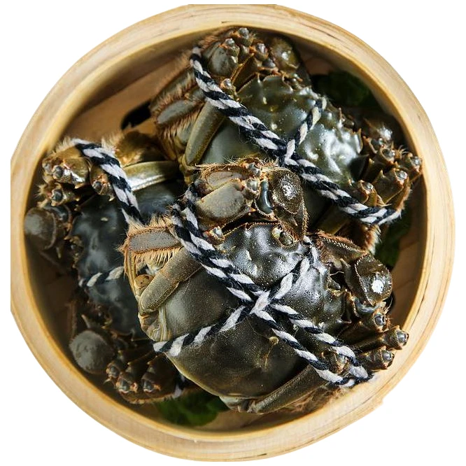 【活蟹】大闸蟹5.0-4.7两母蟹 拍6只送2只 到手8只【死蟹包赔】顺丰京东空运 江苏产地直发