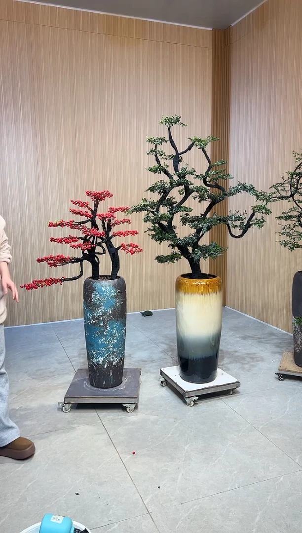 无花朵快****r北美冬青++小叶紫檀