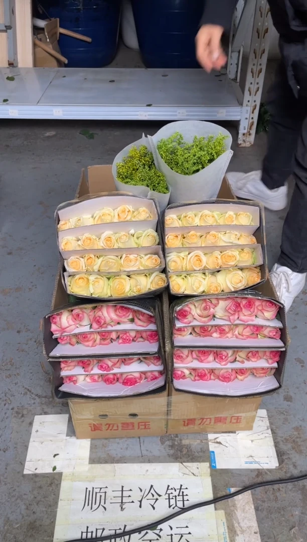 骄傲20枝+香槟20枝+黄莺