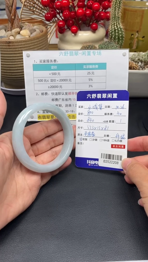 未镶嵌手镯翡翠小*堡D2522208