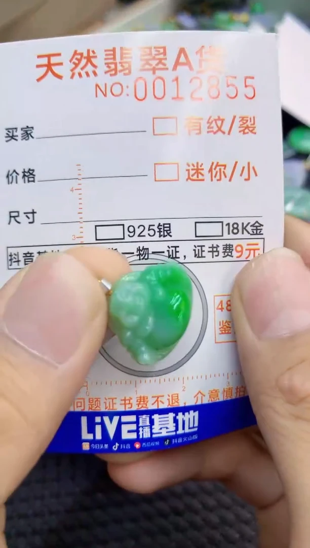 翡翠未镶嵌吊坠(不含链)1