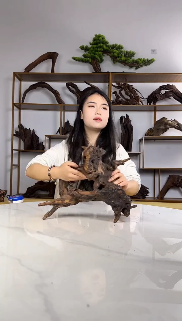 开**儿拍沉木定向链接编号43