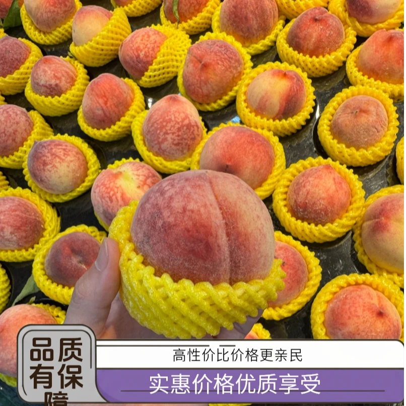 正宗水蜜桃脆软双吃新鲜采摘鲜甜多汁应季直发