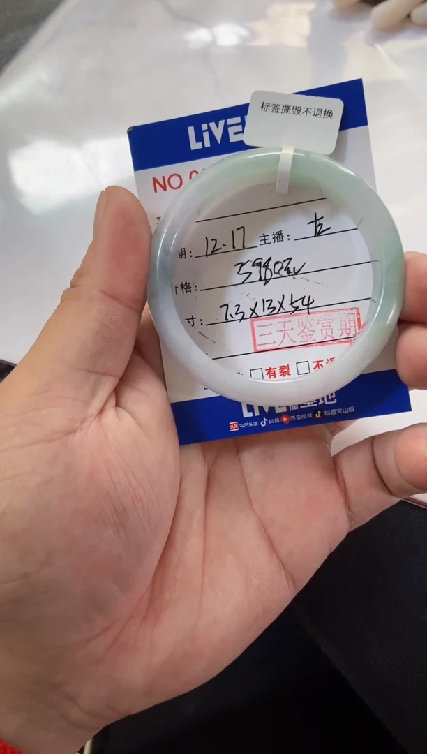 未镶嵌手镯翡翠4