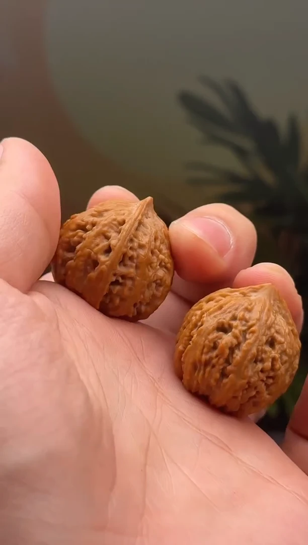 【闪购商品】文玩核桃吊坠小秋子一对（小手捻）