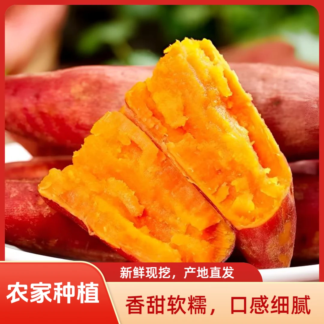 【到手带箱5斤】新鲜现挖红薯地瓜香甜软糯蜜薯正宗沙地糖心红薯