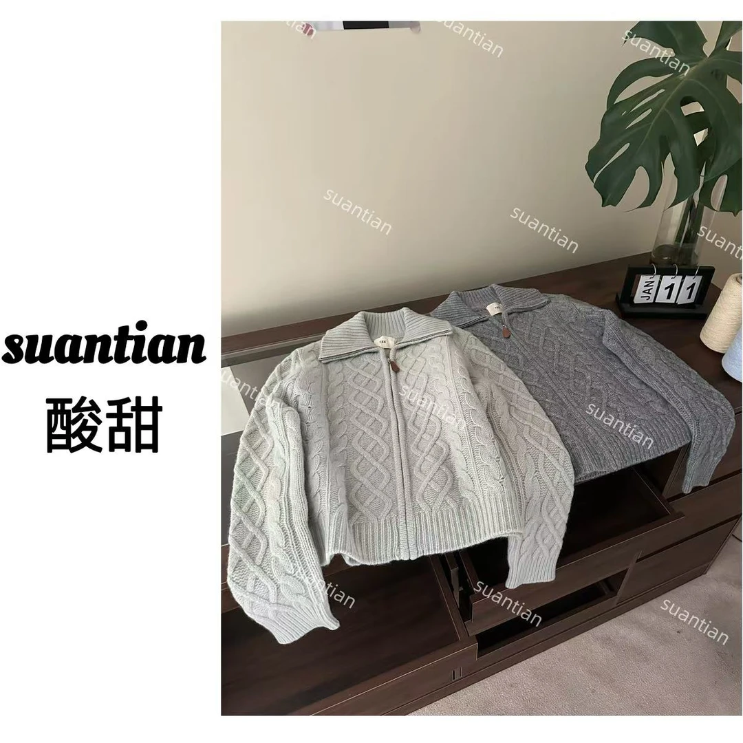 【酸甜】100%绵羊毛针织麻花重工开衫 egg翻领高领韩系针织外套毛衣