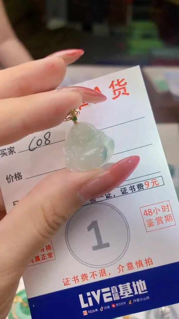 颈饰未镶嵌翡翠天然A货翡翠挂件