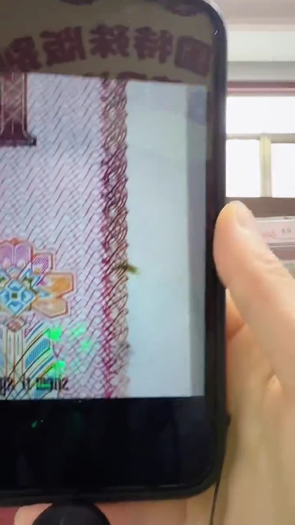 【闪购商品】洛婷 跃海神虾 号码多样性发货 单张