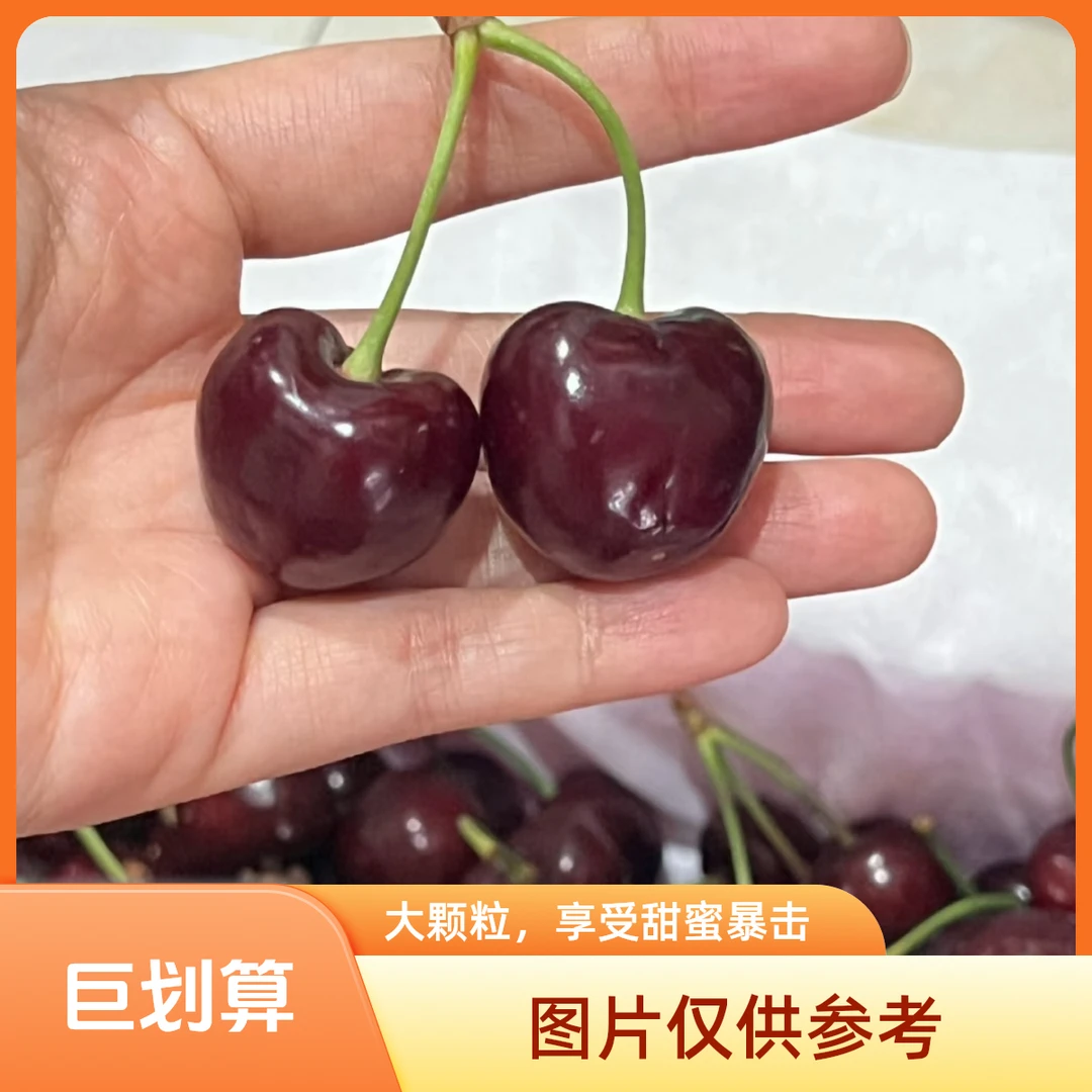 【顺丰京东次日达】山东烟台J大樱桃脆甜黑珍珠国产车厘子脆甜多汁应季水果现采现摘3斤5斤新鲜水果黑珍珠樱桃
