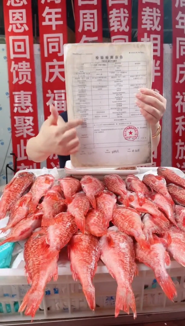 中国大陆4年庆野生石斑鱼石九公今天很优惠