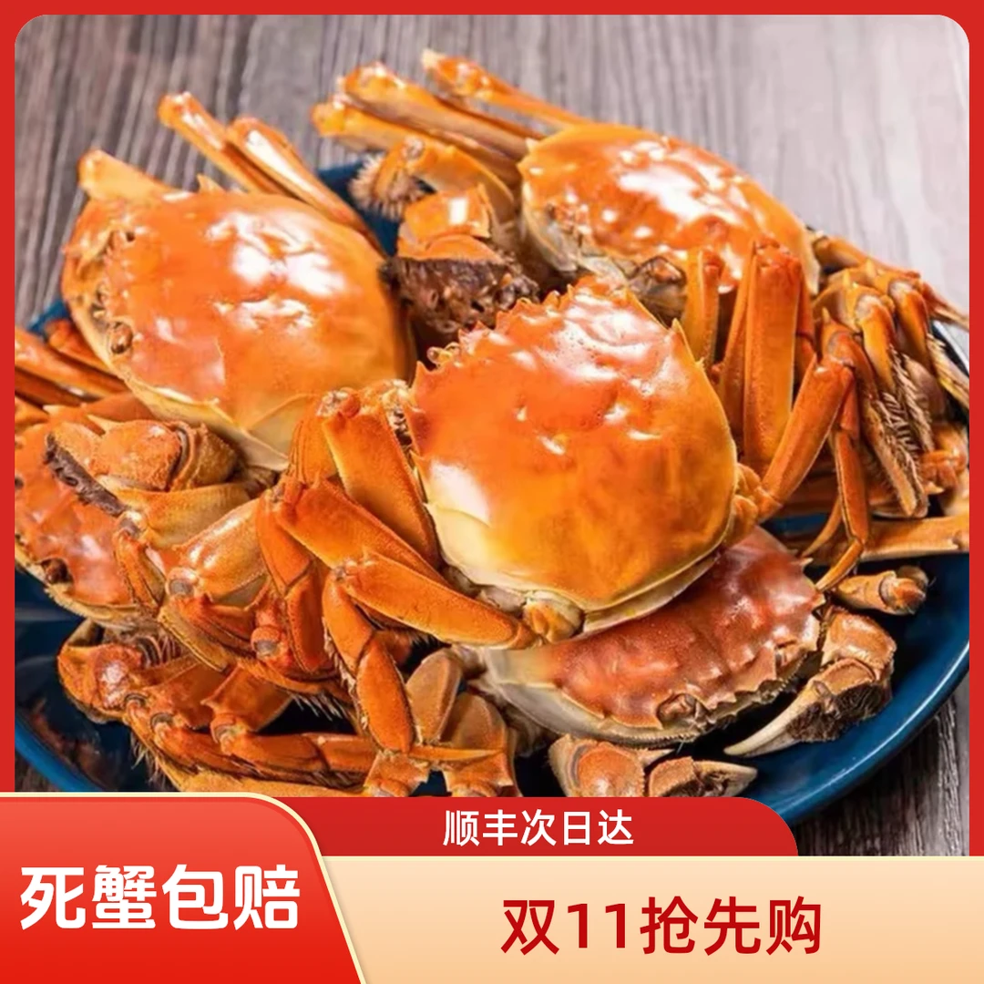 【活蟹】【全公蟹】盘锦河蟹海鲜1.6-1.3两/只 到手15只大公蟹，按只发货【顺丰明天到】死蟹按只赔