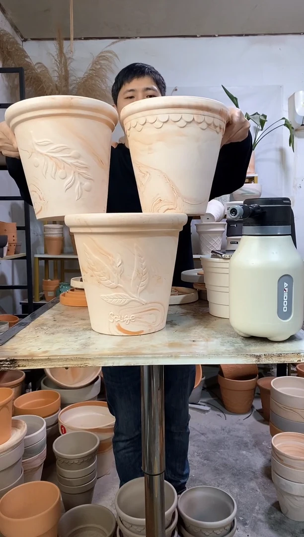 25*23玛奇朵香草 1盆无托