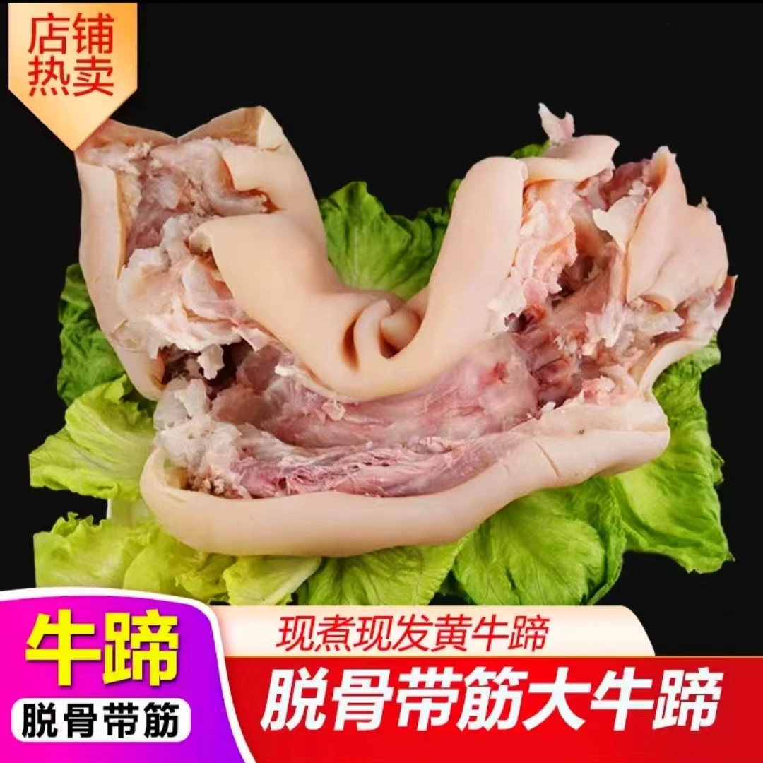 连云港本地小黄牛牛蹄子
