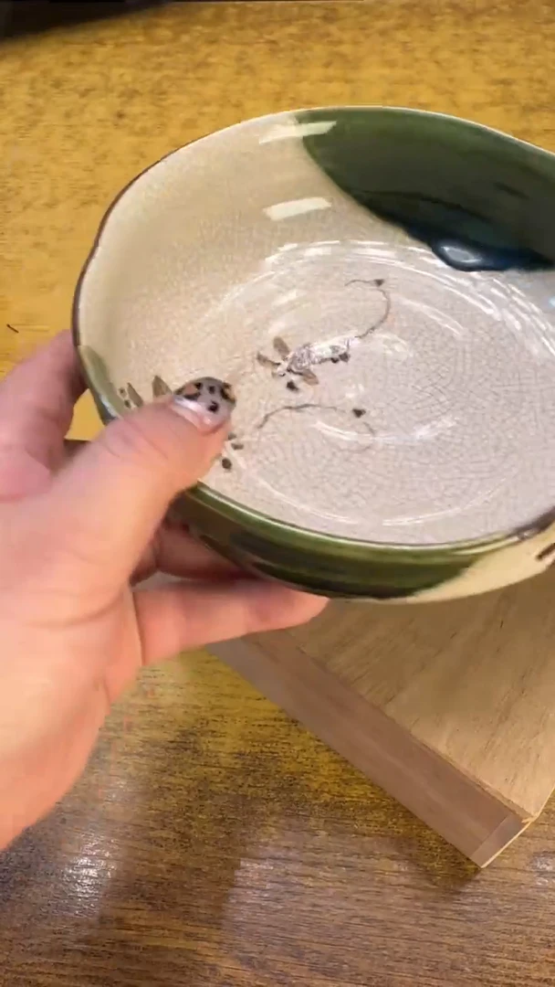 瓷器瓷器瑕疵破破50