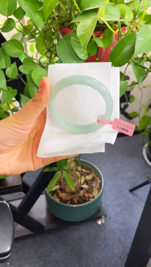 未镶嵌手镯翡翠039-59.5