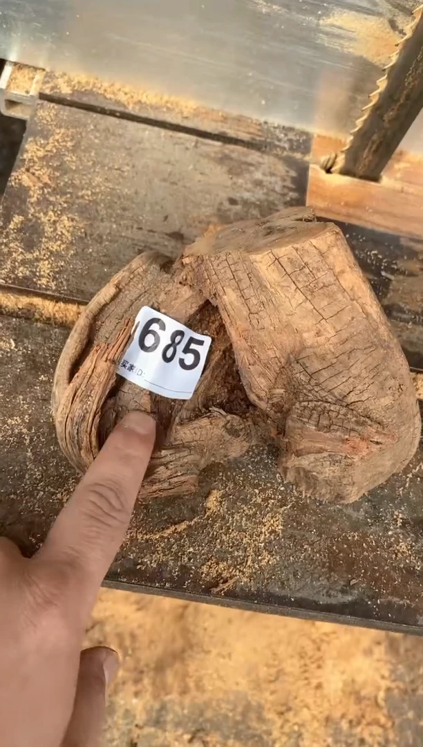 【闪购商品】柏木太行陈化崖柏（津诚林）切片