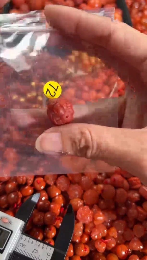 【闪购商品】南红玛瑙颈饰未镶嵌1