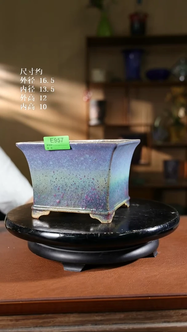 957   6寸飘口兰盆