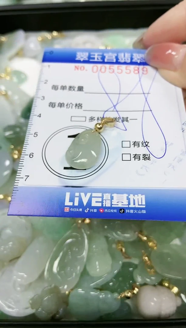 【闪购商品】翡翠颈饰未镶嵌闪购0055589