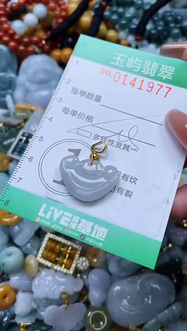 翡翠未镶嵌颈饰闪购0141977多样性发其一