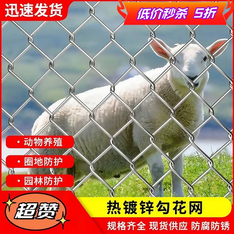 镀锌铁丝网围栏防锈钢丝网勾花网拦牛羊养殖畜牧围栏网户外防护网