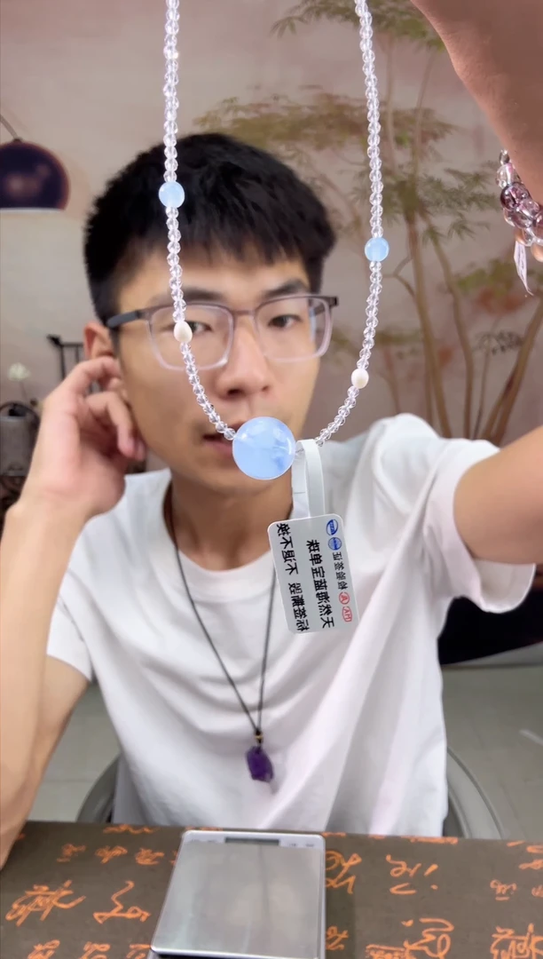 颈饰未镶嵌水晶1