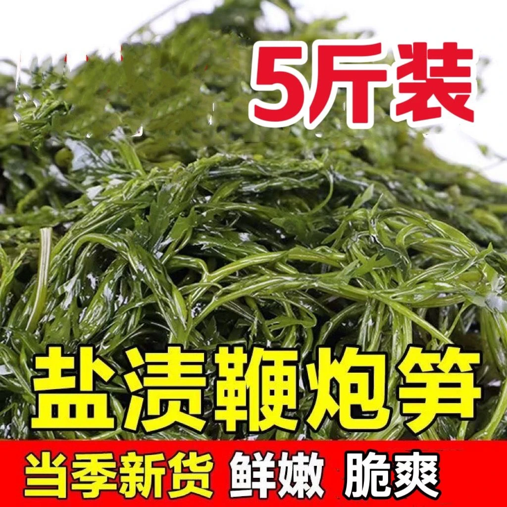 头茬盐渍鞭炮笋马尾藻长寿菜新鲜凉拌火锅