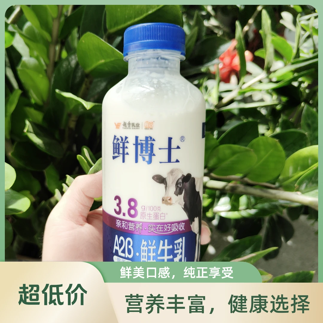 九羊纯羊奶200ml*6+鲜博士3.8鲜牛乳*2