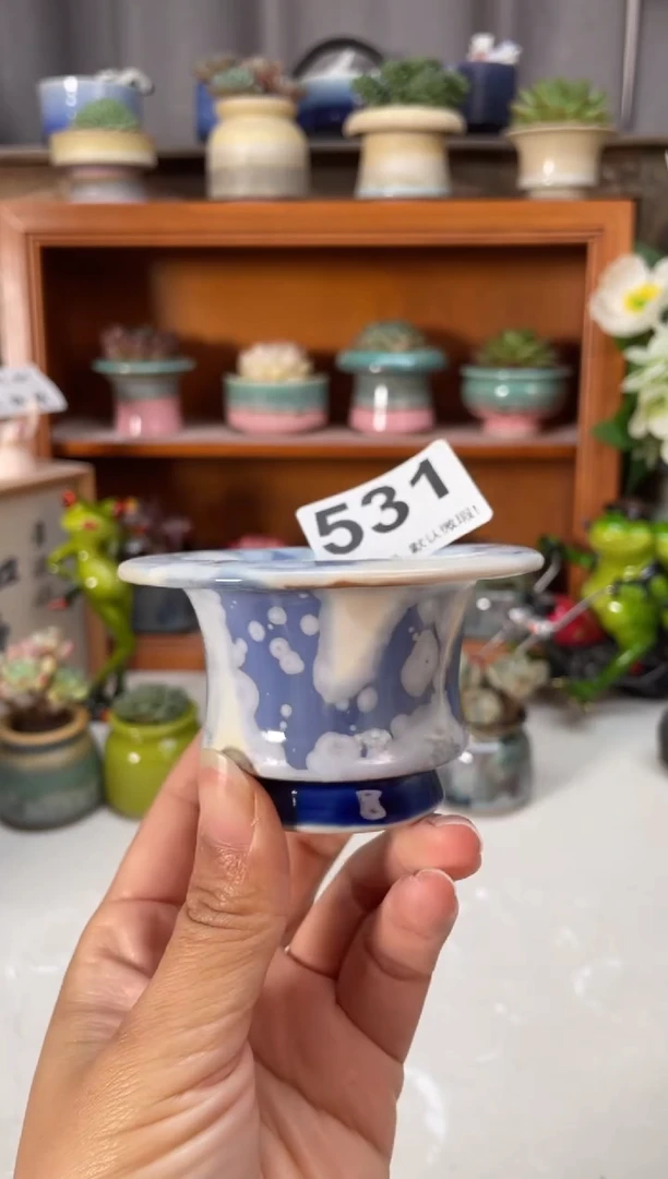 瓷片531小芳直播编号