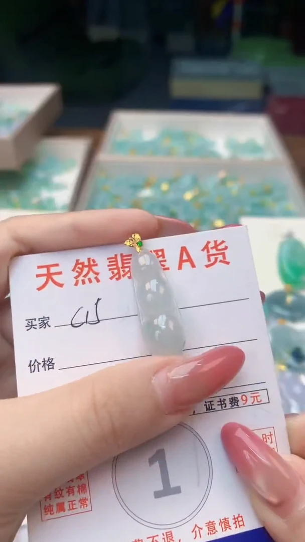 颈饰未镶嵌翡翠纯天然翡翠A货挂件