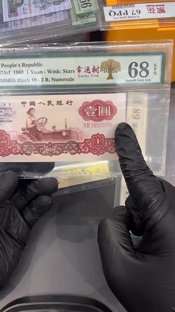 幸运树尾655单张。。