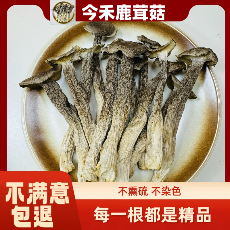 【今禾鹿茸菇】当季新货鹿茸菇无硫无添加煲汤炒菜营养美味炖汤鲜香