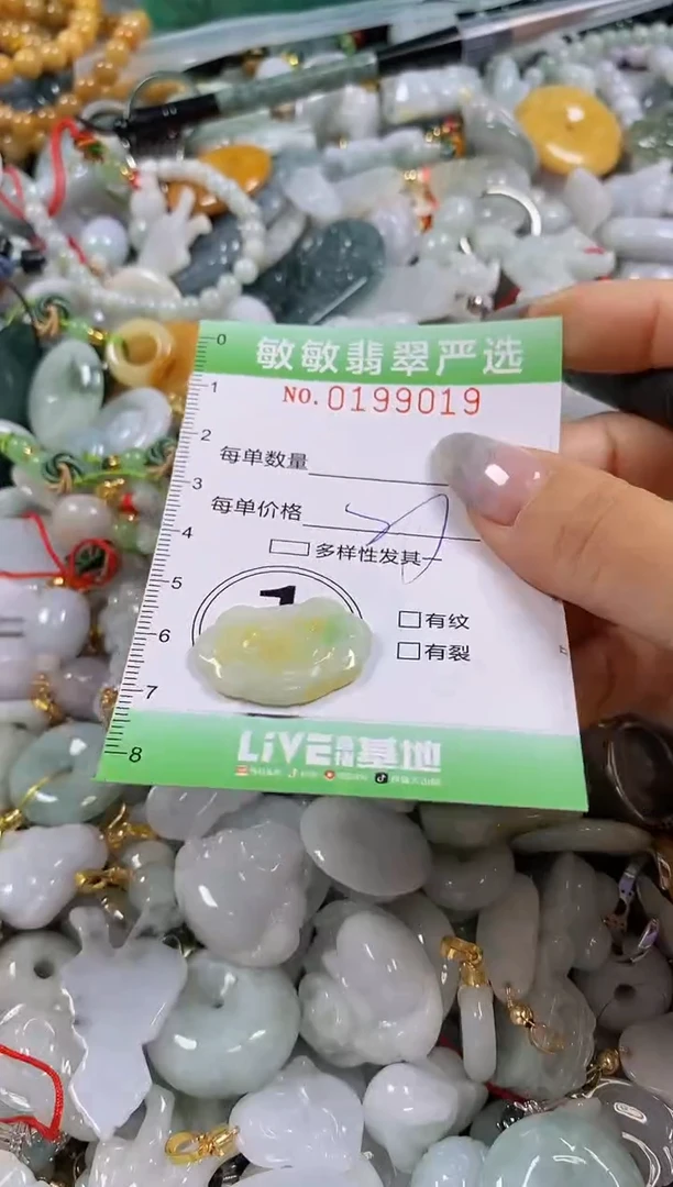 翡翠未镶嵌颈饰闪购0199019