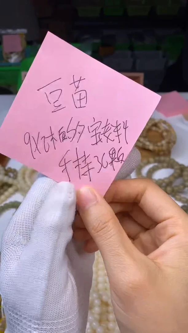 手串菩提根/象牙果小*苗豆苗