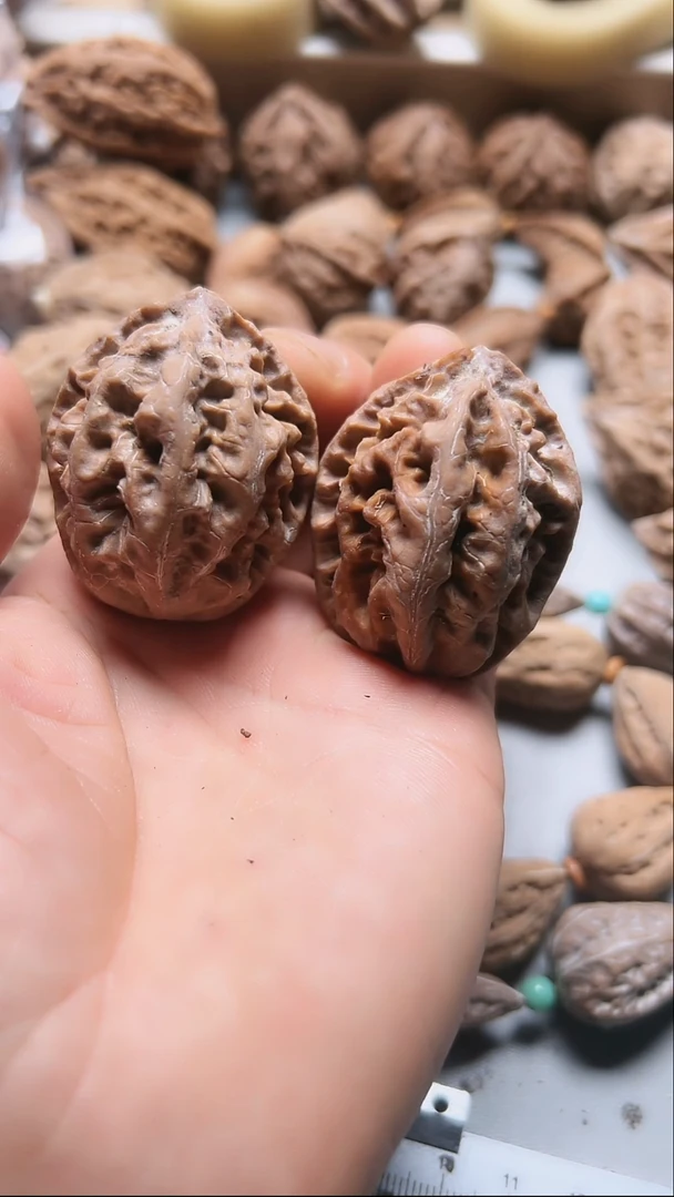 核桃东北野生大秋子9