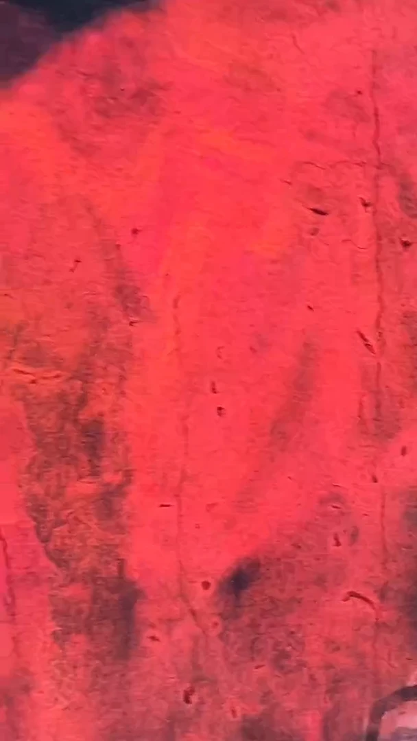 国画郑乐华手绘绘画作品9-62