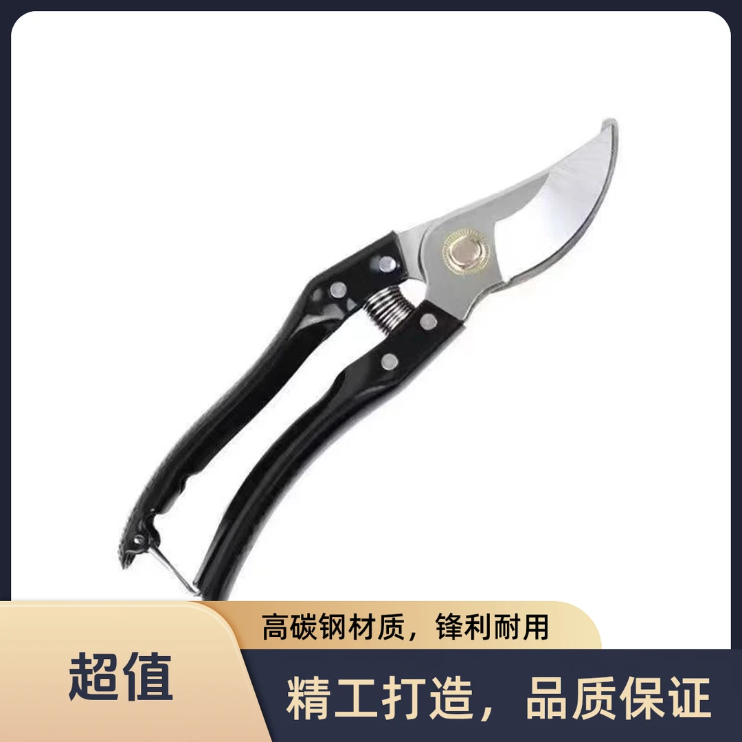 Z SK5树枝剪刀园艺剪
