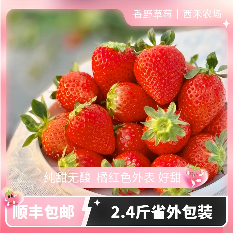 【西禾香野草莓】全国可发 现摘现发新鲜2.4斤坏果包赔顺丰包邮