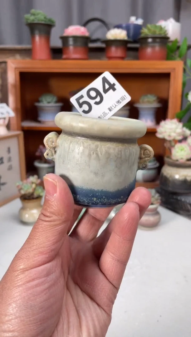 瓷片594小芳直播编号