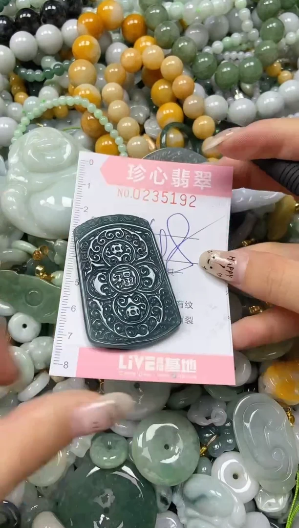 翡翠未镶嵌颈饰闪购0235192